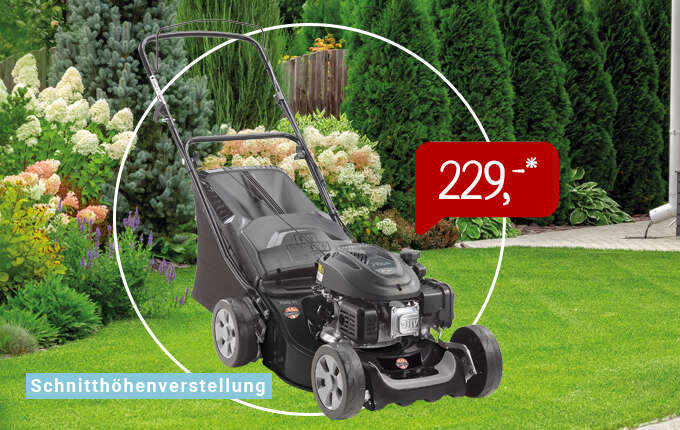VIVAGARDEN Benzin Rasenma╠łher RMB 41